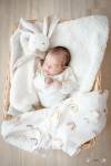 Caroline CARPENTIER - CAROLINE CARPENTIER PHOTOGRAPHIE